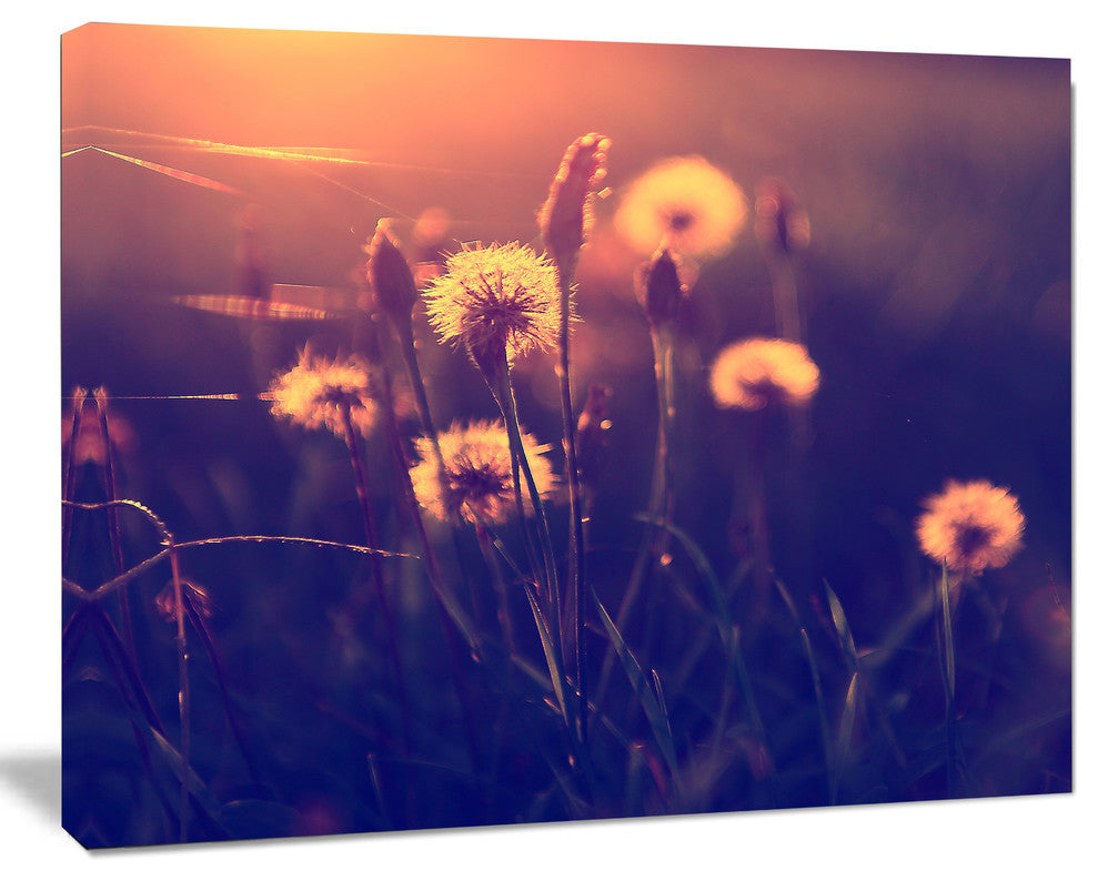 Vintage Photo Of Dandelion Garden, Large Floral Canvas Art Print, 40"x30"