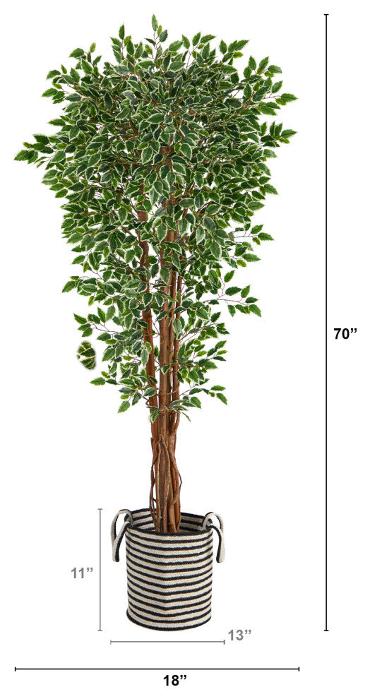 T2974 70 Variegated Ficus Artificial Tree in Handmade Black & White