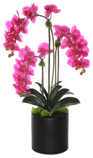 Purple Real Touch Orchid With Amethyst, Black Cylinder Pot