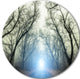 Blue Light In Foggy Autumn, Landscape Photo Round Wall Art, 23"
