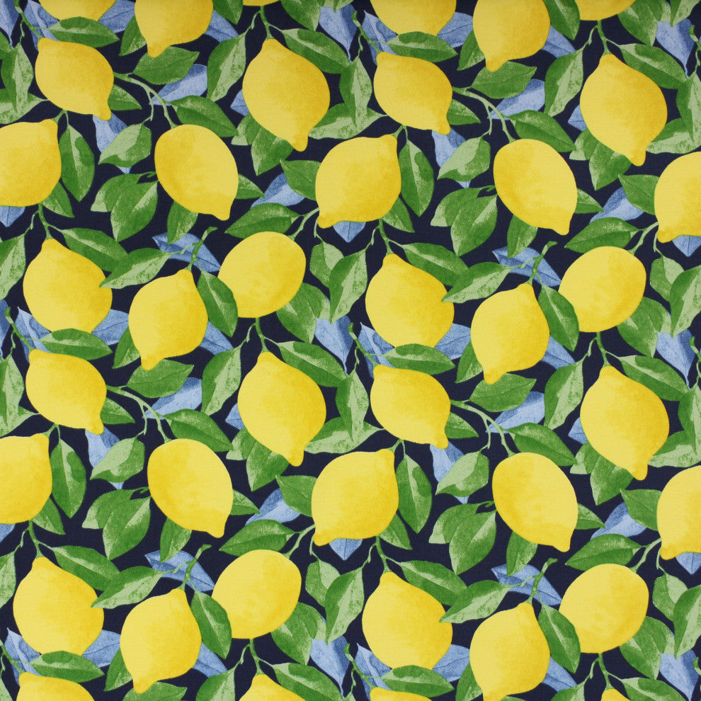 Yellow Lemons Outdoor Bristol Bench Cushion, 60x19x3