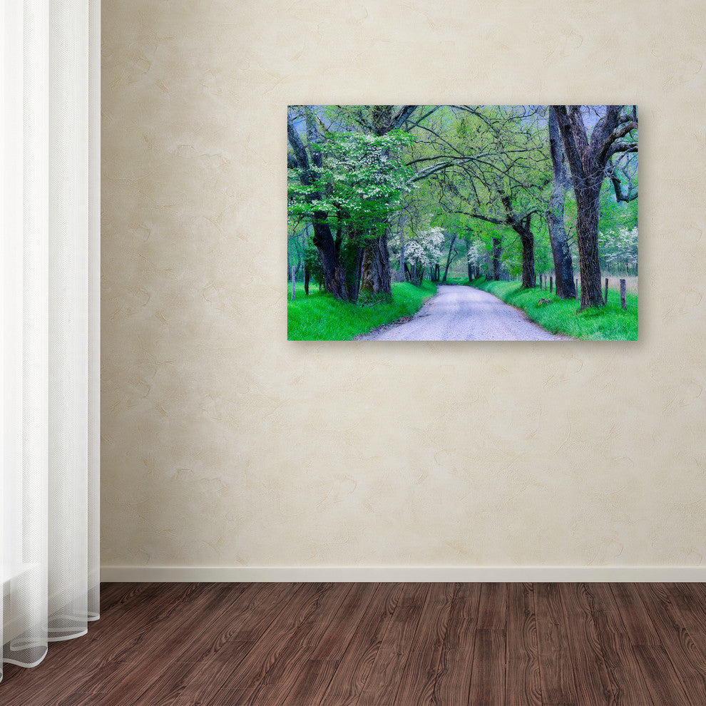 Michael Blanchette Photography 'Cades Cove Lane' Canvas Art, 32"x22"