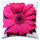 Pillow Decor - Bold Daisy Flower Pink Throw Pillow 20X20