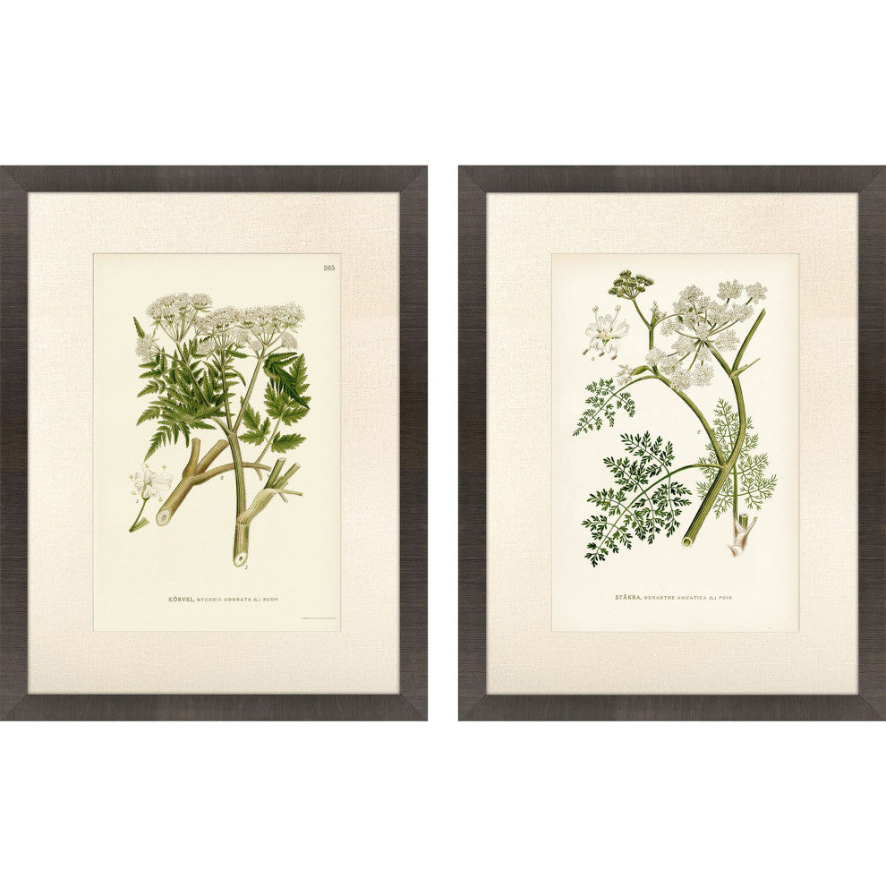 Queen's Lace I Framed Art, 2-Piece Set