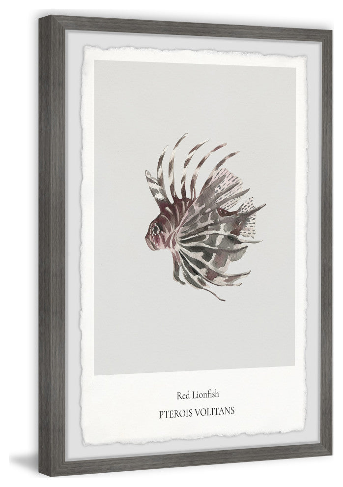 "Red Lionfish" Framed Painting Print, 20x30