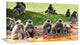 Monkeys in Sri Lanka, African Canvas Art Print, 32"x16"