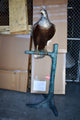 Very Detailed Eagle Standing on A Tree Branch Bronze Statue  24" x 28" x 66"H