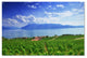 Leman Lake'' Canvas Art by Philippe Sainte-Laudy