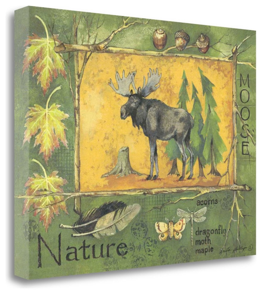 "Moose" By Anita Phillips, Giclee Print on Gallery Wrap Canvas, Ready to Hang