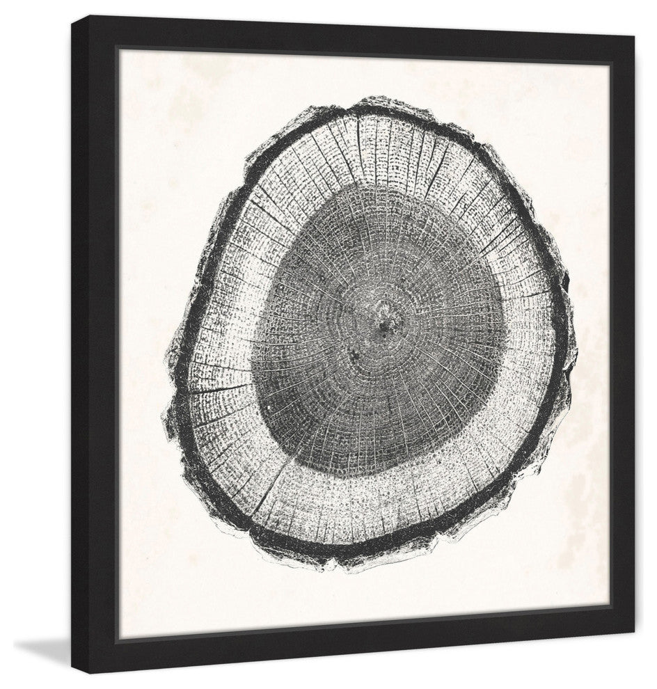 "Tree Ring II" Framed Painting Print, 18"x18"