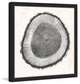 "Tree Ring II" Framed Painting Print, 18"x18"