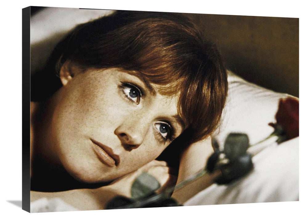"Julie Andrews" Stretched Canvas Giclee by Hollywood Photo Archive, 30x22"