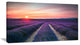 "Endless Rows of Lavender Flowers" Modern Landscape Wall Art, 1 Panel, 60"x28"