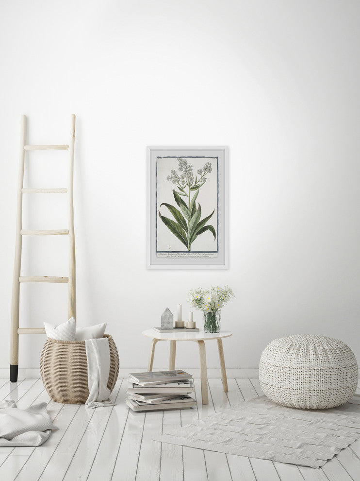 "Sweet Rocket Matronalis" Framed Painting Print, 30"x45"