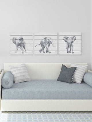 Baby Elephant Walk Triptych, 3-Piece Set, 24x24 Panels