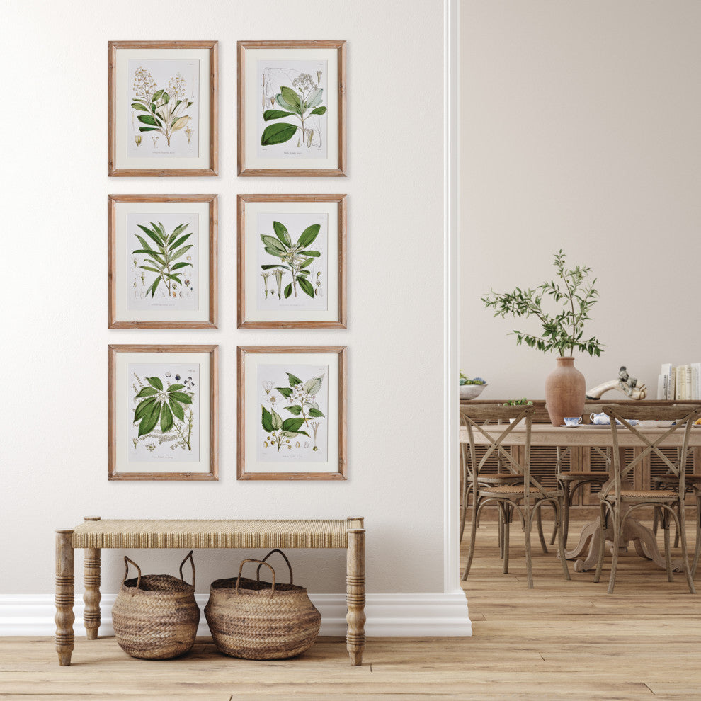Classic Flower And Leaf Study Gallery, Set of 6