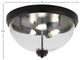 16" 3-Light Flush Mount Light, Matte Black/Clear Bubble