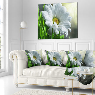 Single Beautiful Daisy Flower Flower Throw Pillow, 18"x18"