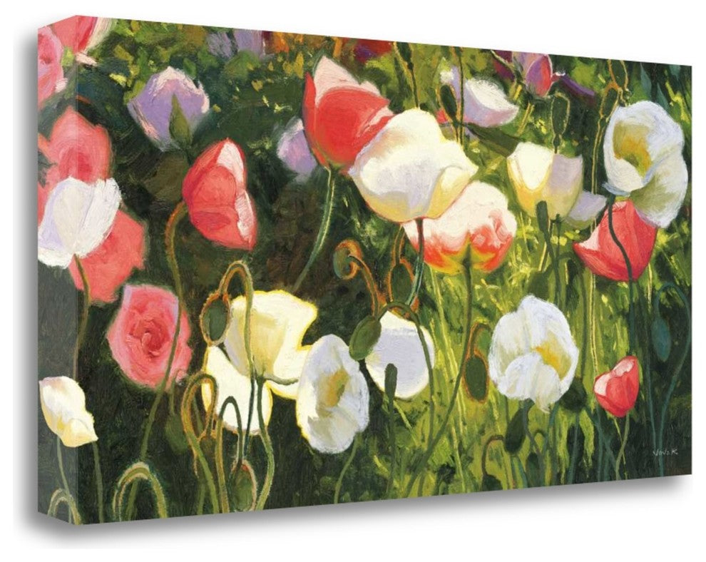 "Morden S Blush" By Shirley Novak, Giclee Print on Gallery Wrap Canvas