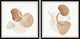 Birth of a Star Diptych, 2-Piece Set, 24x24 Panels