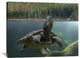 "Turtle Breathing At Surface, Jurong Bird Park, Singapore" Artwork, 40" x 30"
