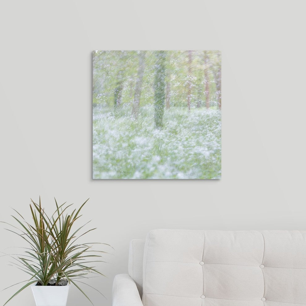 "Springs Innocence" Wrapped Canvas Art Print, 20"x20"x1.5"