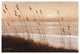"Breezy Sunset" Digital Paper Print by Diane Romanello, 50"x34"