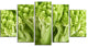 "Fresh Green Romanesco Florets" Floral Canvas Photo Print, 5 Panels, 60"x32"