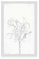 "Flower Outline" Framed Painting Print, 12x18