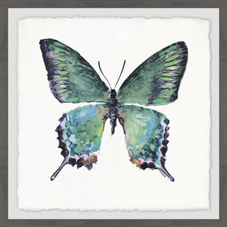 "Watercolor Butterfly" Framed Painting Print, 12"x12"