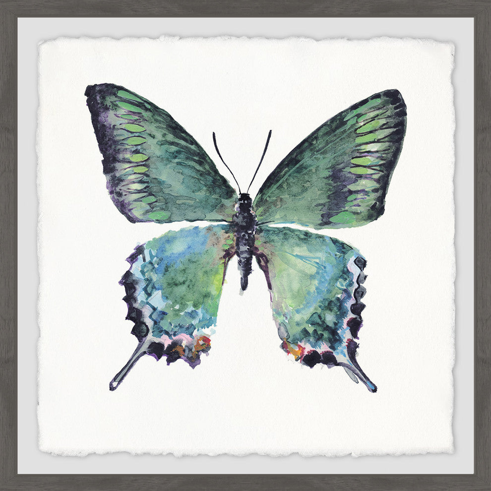 "Watercolor Butterfly" Framed Painting Print, 12"x12"
