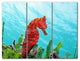Ready2hangart Christopher Doherty Photography 'Seahorse' 3-PC Canvas Art Set