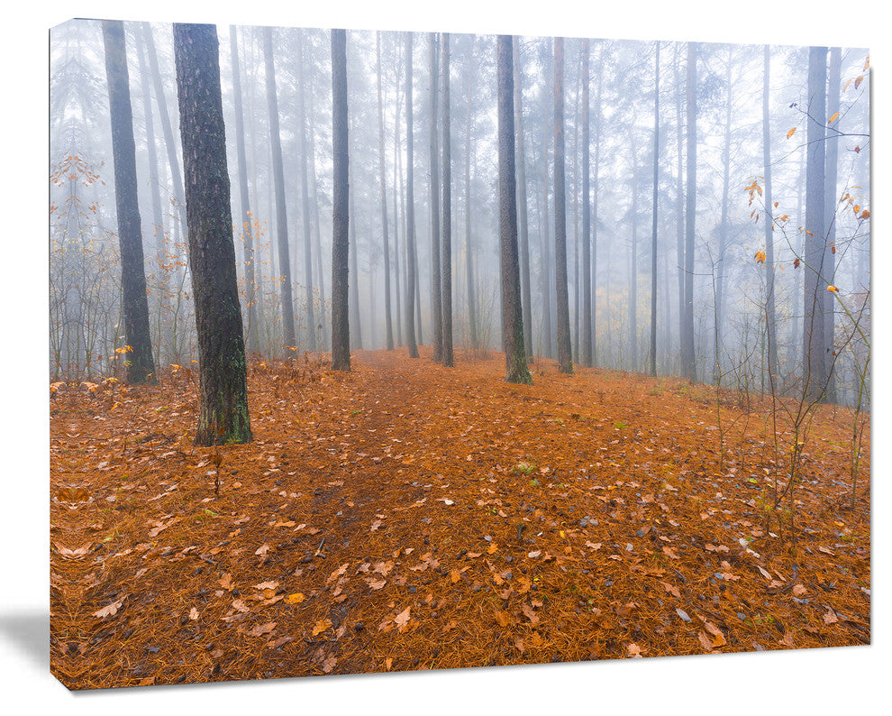 Foggy Forest and Fallen Leaves, Modern Forest Canvas Art, 20"x12"