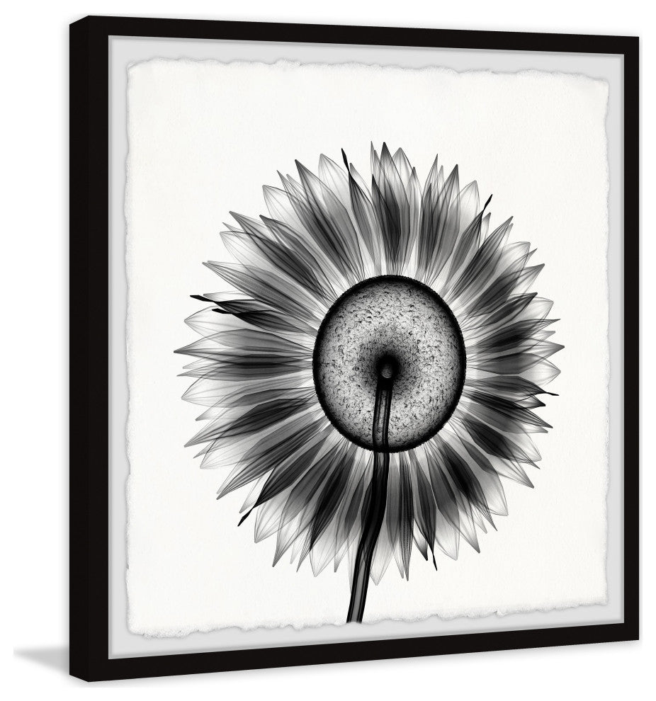 "Sunflower Petals" Framed Painting Print, 24x24