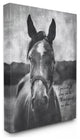A Great Horse Inspiring Word Farm Design, 24"x30"