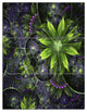 "Green Purple Fractal Flowers" Metal Wall Art, 3 Panels, 28"x36"