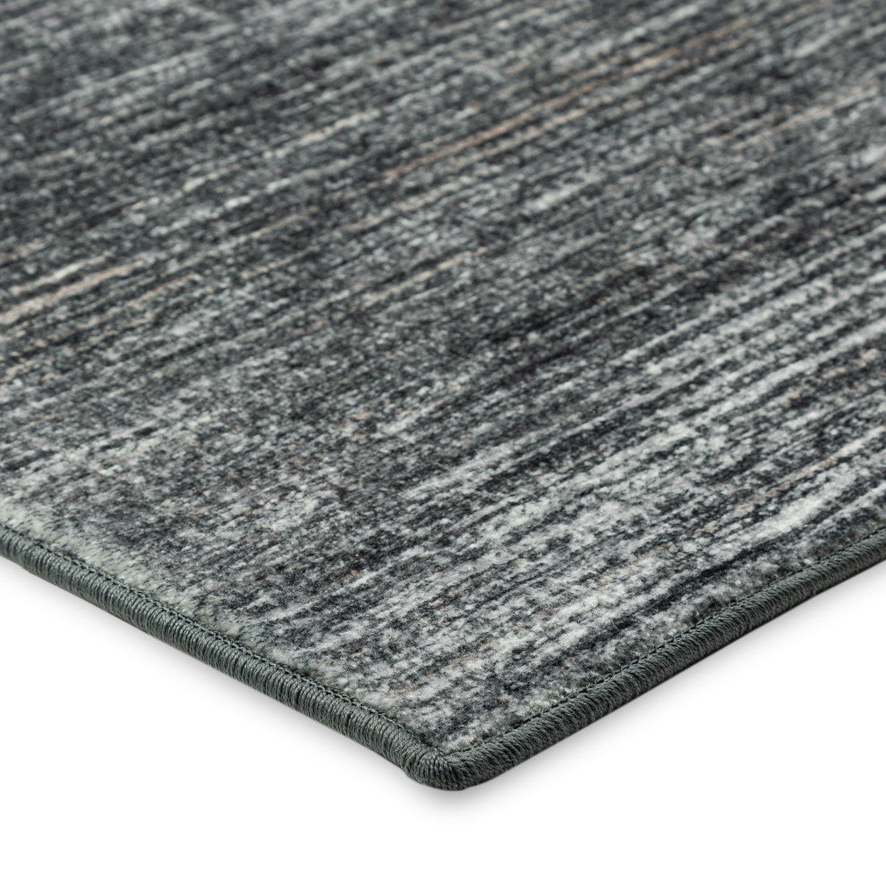 Dalyn Ciara CR1 Charcoal 2'6"x8' Runner Rug