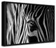 Abstract Zebra'' Framed Print Wall Art by Roy Darnell