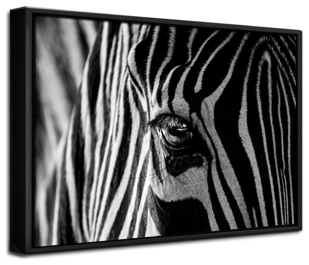 Abstract Zebra'' Framed Print Wall Art by Roy Darnell