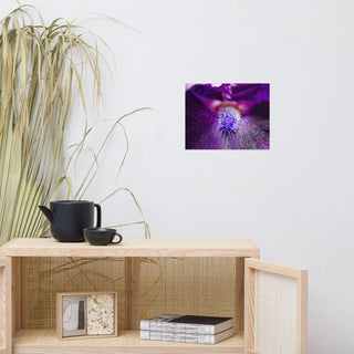 Eye of Iris Nature Photography, Floral Unframed Wall Art Print, 11" X 14"