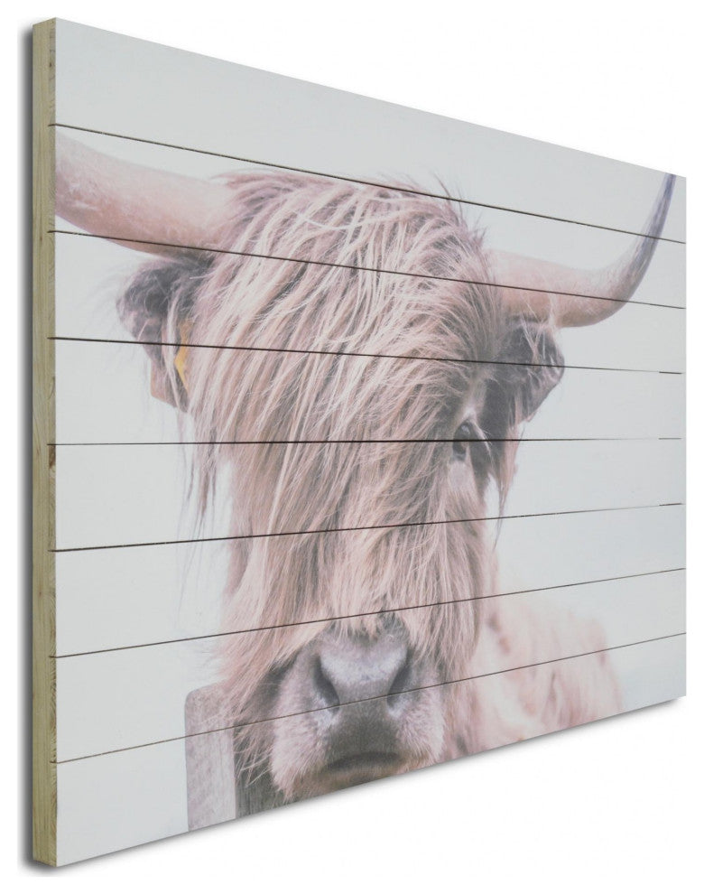 Adorbale Highland Cow Wood Plank Wall Art