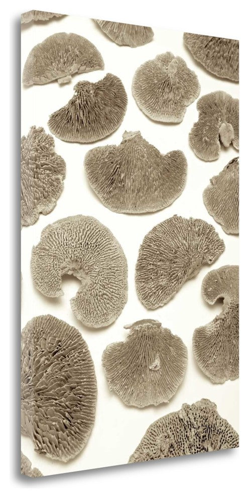 "Garden Bloom - 19" By Alan Blaustein, Giclee Print on Gallery Wrap Canvas