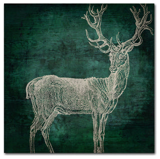 Color Bakery 'Emerald Deer' Canvas Art, 24"x24"