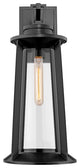 Bolling 1 Light 22" Tall Powder Coat Black Outdoor Wall Sconce