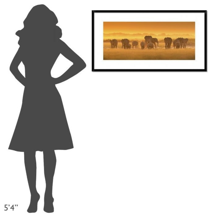 "Golden Light" Framed Digital Print by David Hua, 38"x20"