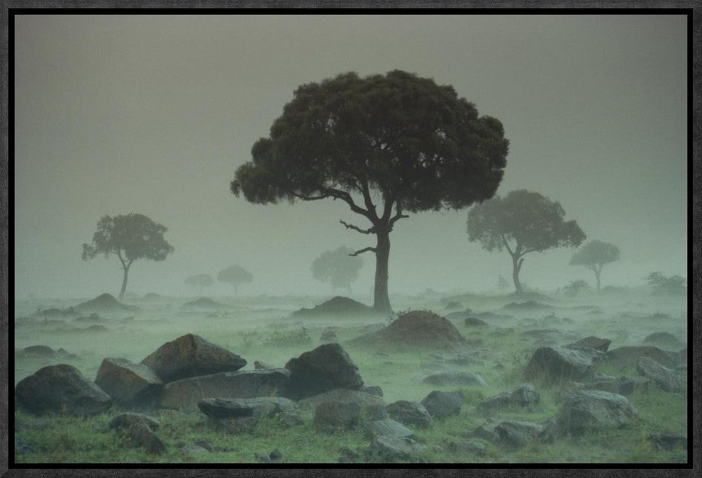 "Rain storm on the Serengeti Plains, Kenya"  by Tim Fitzharris, 19x13"