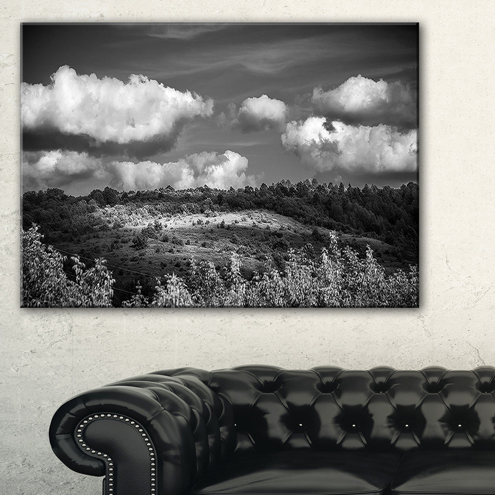 "Green Hills Under Cloudy Sky" Extra Large Wall Art Landscape, 40"x20"