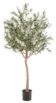 Faux Mediterranean Evergreen Tree Set (2) | Emerald Olive