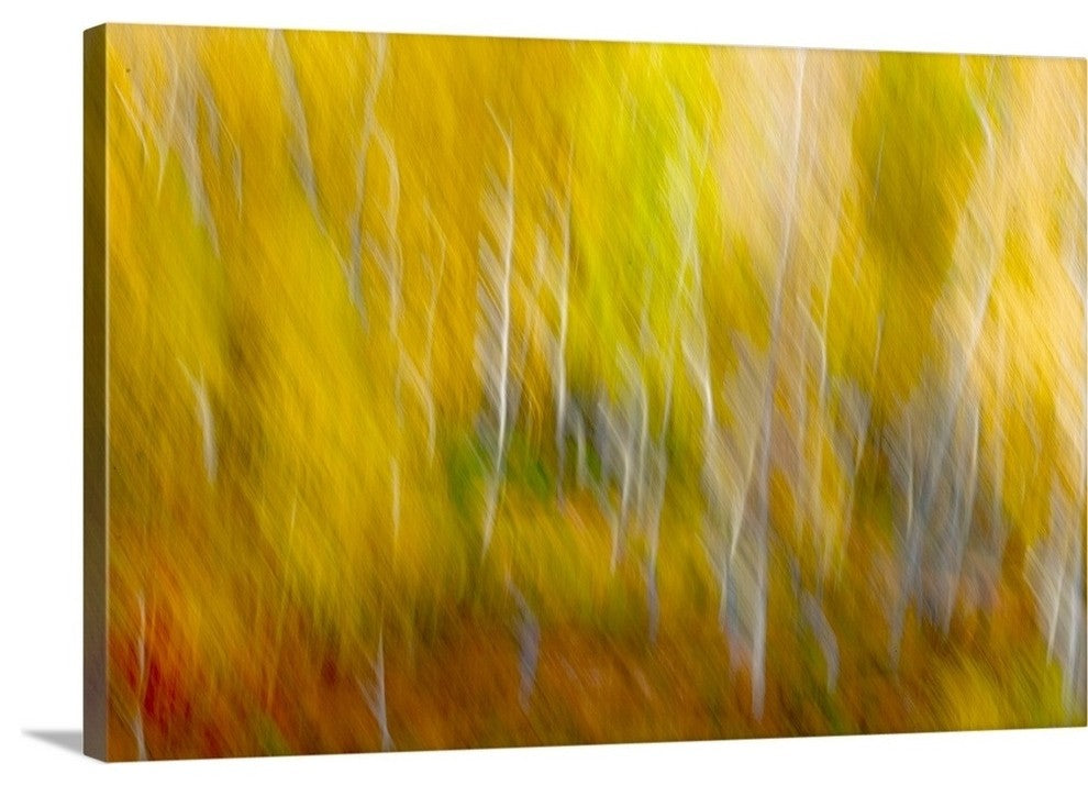 "In Golden Dreams" Wrapped Canvas Art Print, 36"x24"x1.5"