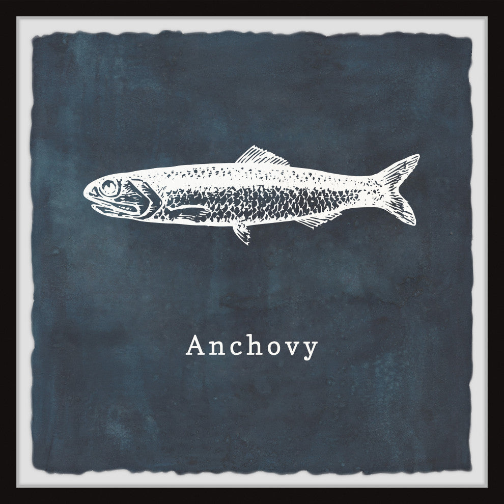 "Anchovy" Framed Painting Print, 24x24